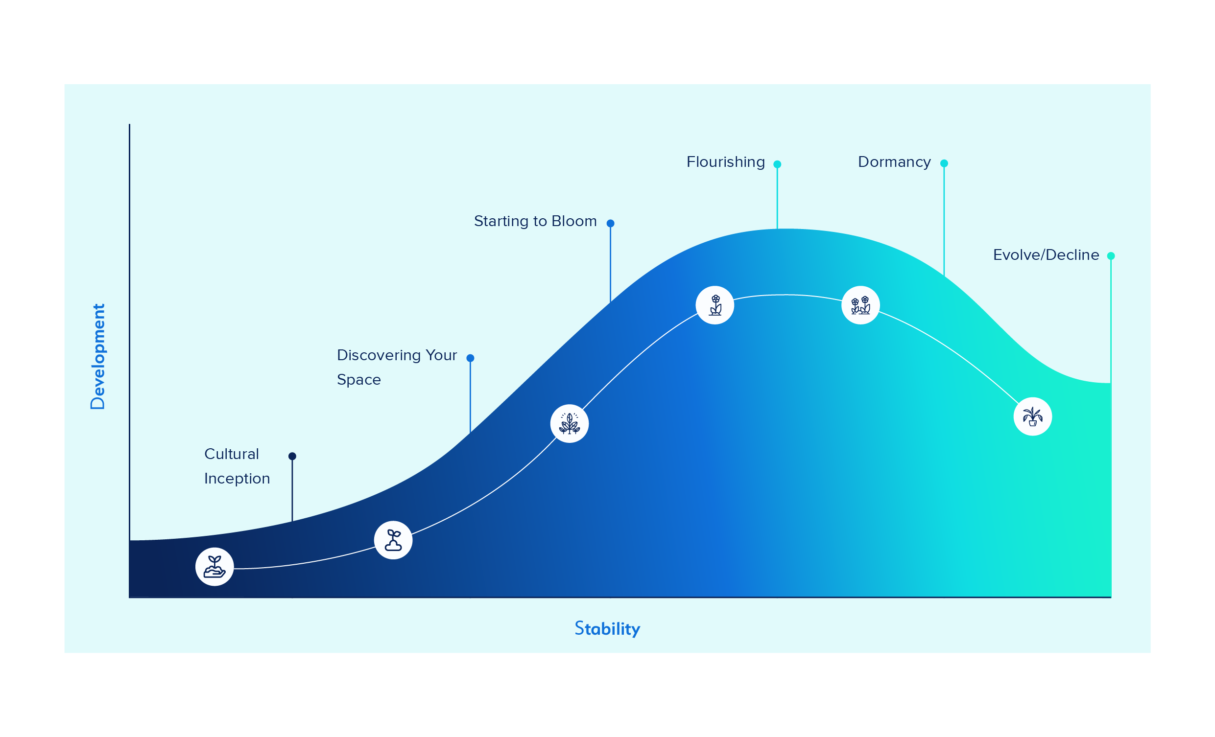 Cultural Lifecycle Image